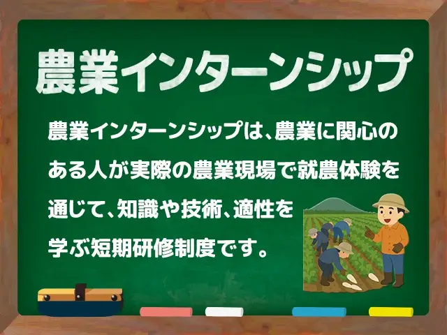 農業インターンシップ