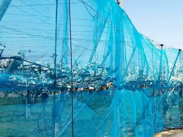 防風ネット