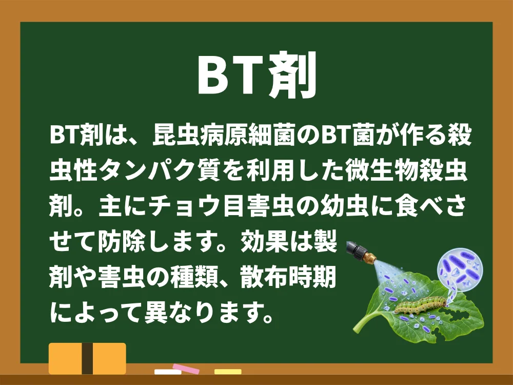 BT剤