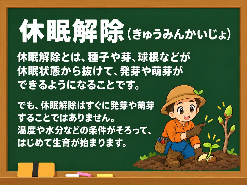 休眠解除