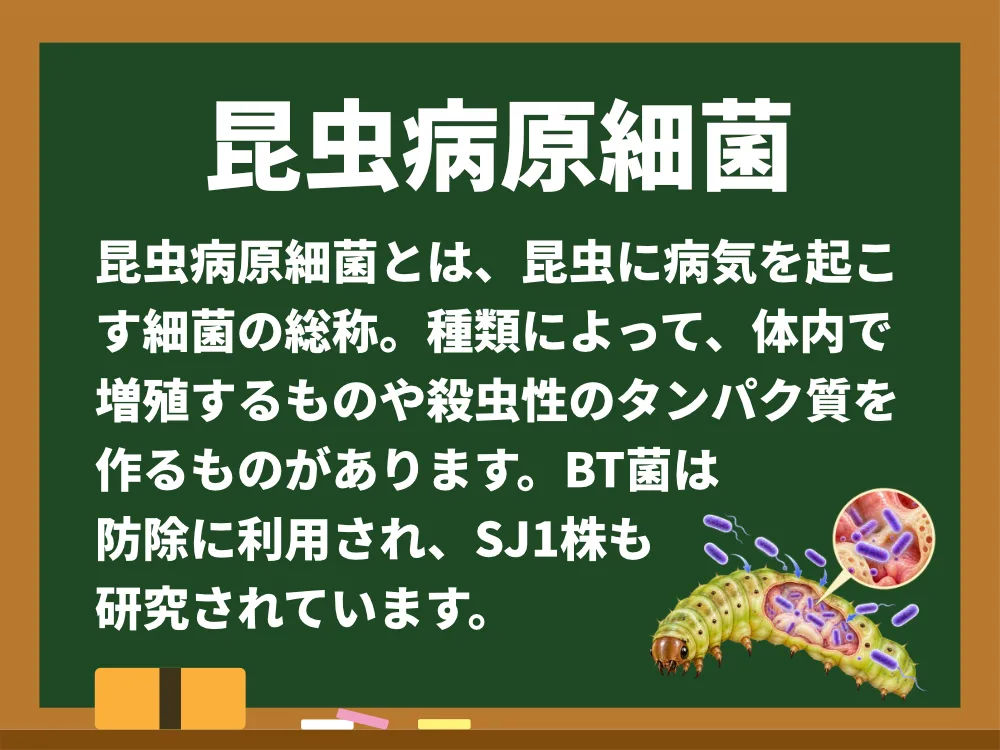 昆虫病原細菌