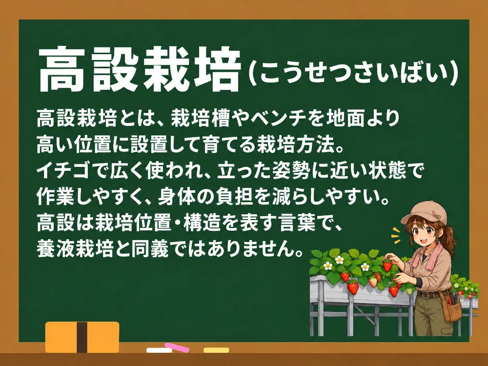 高設栽培