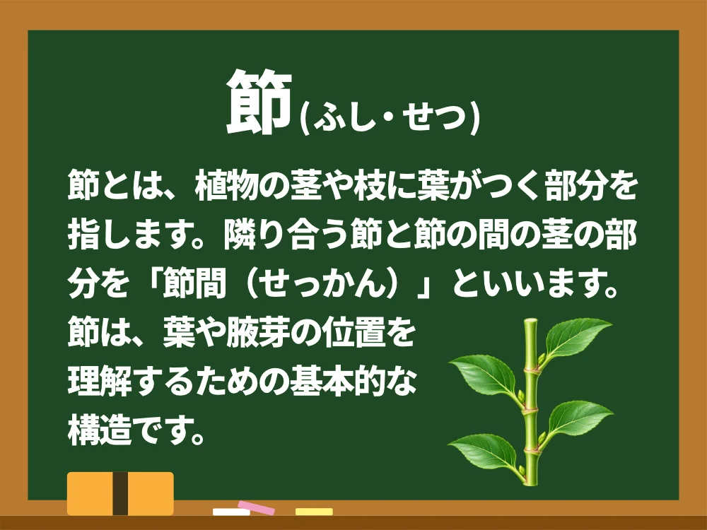 節