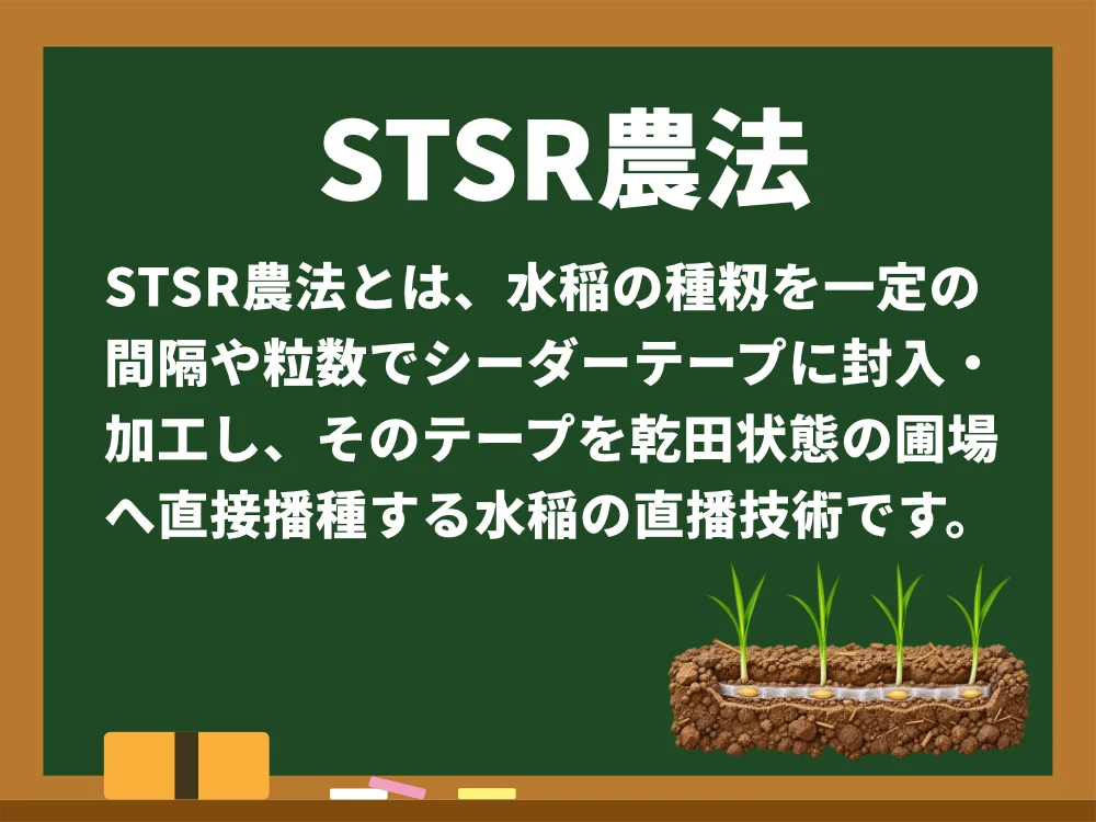 STSR農法