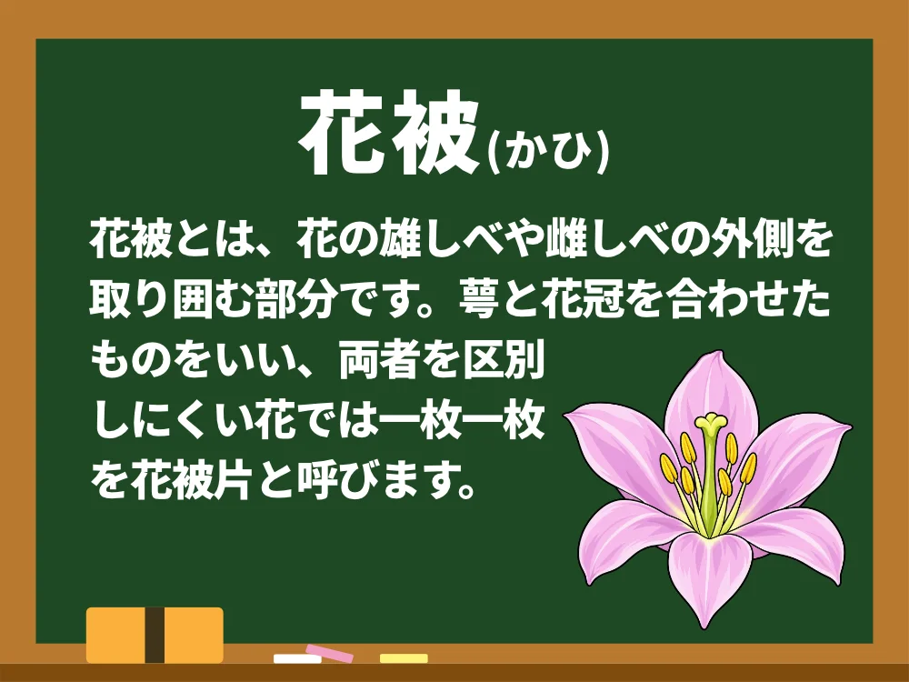 花被