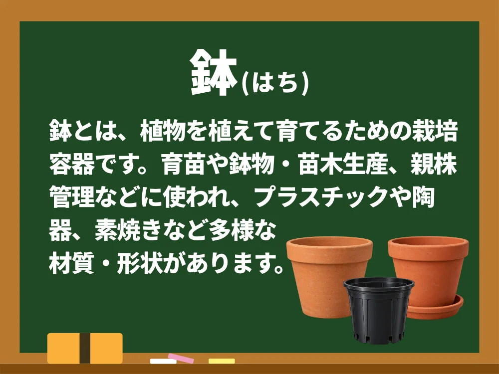 鉢