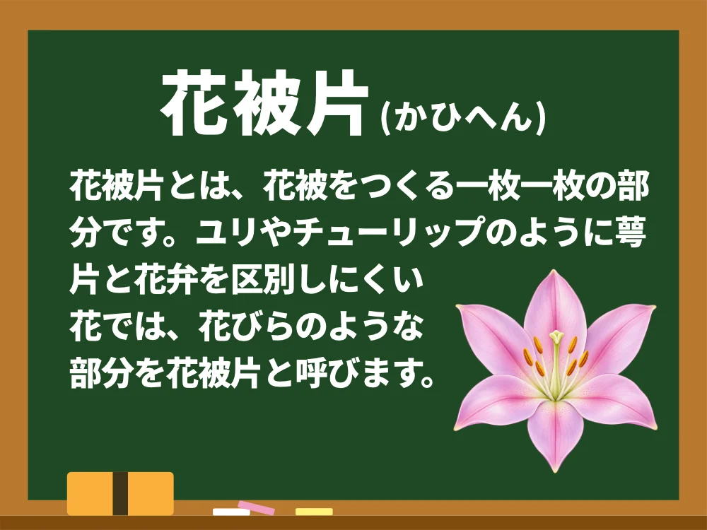 花被片